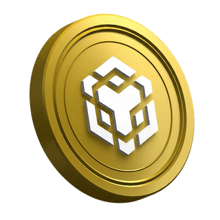 Página de guía para operadores principiantes con la criptomoneda BNB